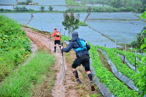 BIB: 1511
                            <button type="button" onclick="openModal(13378003)" class="btn btn-primary btn-sm float-right btn-popup" data-toggle="modal" data-target=".modal-high-quality">
                        <i class="fas fa-shopping-cart"></i> Add to Cart
                    </button>
                                            <button type="button" onclick="isThisMe(13378003, true)" class="btn btn-success btn-sm float-right btn-popup btn-isme hidden" data-toggle="tooltip" data-placement="bottom" title="นี่คือรูปของคุณใช่ไหม คลิกที่นี่เพื่อเอาเข้าอัลบั้ม">
                        <i class="fas fa-plus"></i> Add to album
                    </button>
                    <button type="button" onclick="isThisMe(13378003, false)" class="btn btn-warning btn-sm float-right btn-popup btn-isnotme hidden">
                        <i class="fas fa-ban"></i> Remove from album
                    </button>